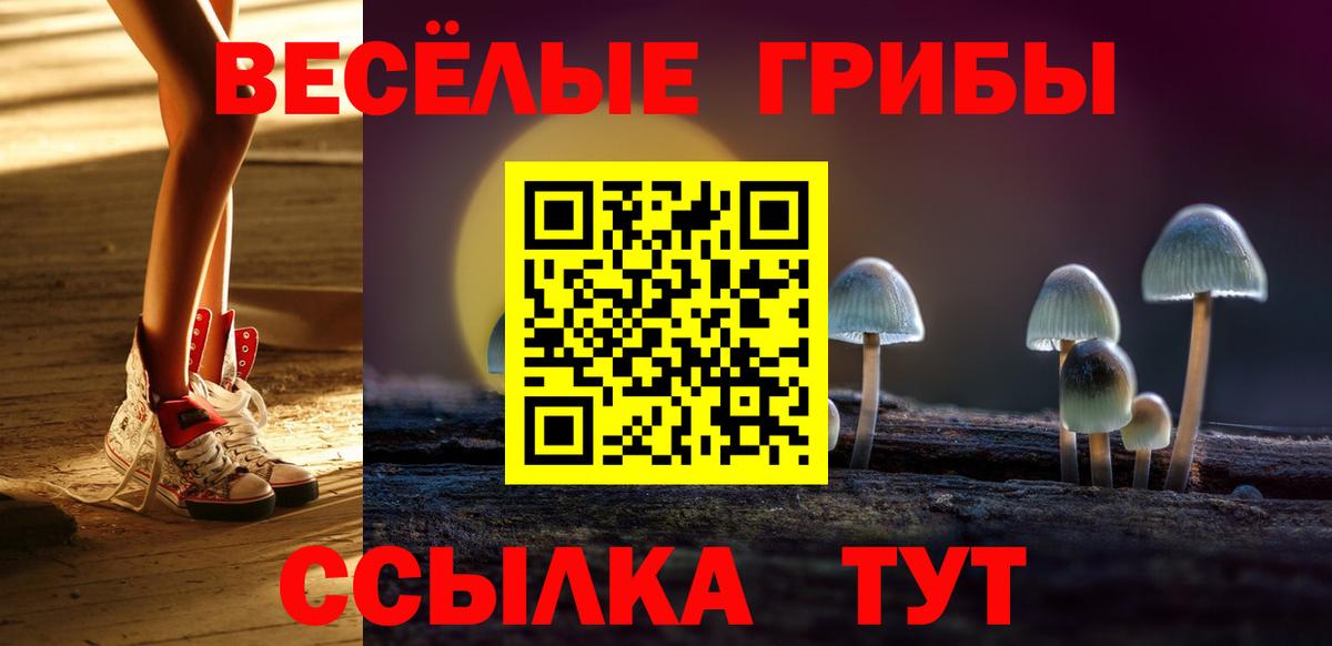 Галлюциногенные грибы MAGIC MUSHROOMS  Галлюциногенные грибы Psilocybe  Новозыбков  Вход с VPN 